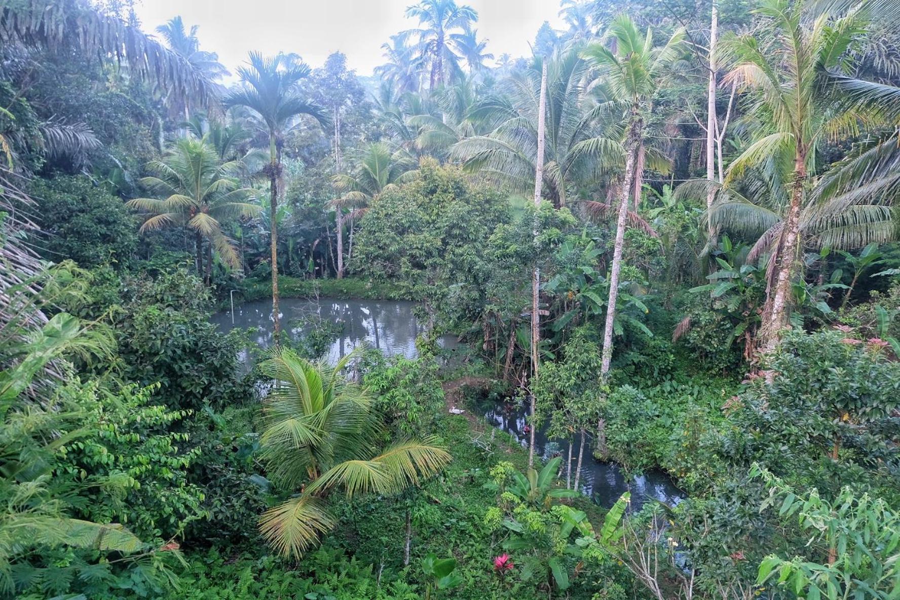 Gunung Kawi Villa Tegallalang  Exterior foto